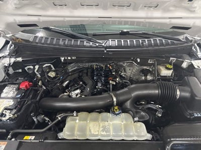 2023 Ford Expedition XLT