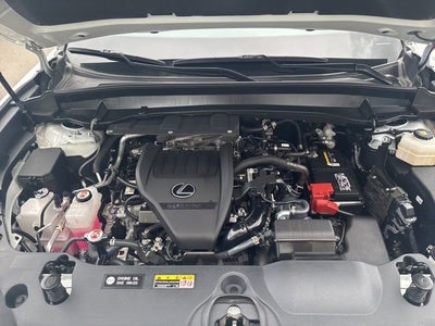 2024 Lexus TX 350 Luxury