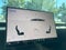 2026 Tesla Model Y Standard Range