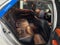 2005 Lexus LS 430 NA