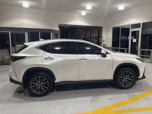2022 Lexus NX 350h NX 350h