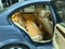 2005 BMW 3 Series 325xi
